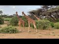 Kenya Yetu, Fahari Yetu 🇰🇪 | Powerful Kenyan Patriotic Anthem of Unity & Pride