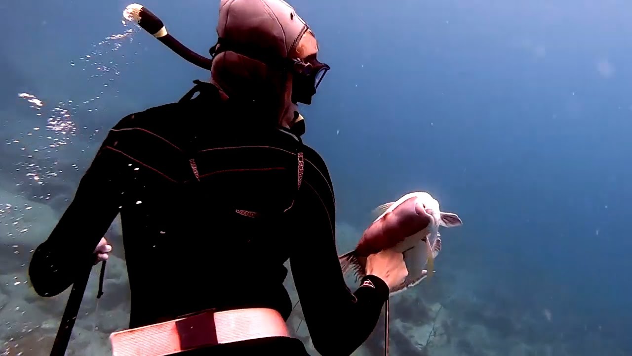 Solo Sailor Girl Brings Home The BACON! Spearfishing and a big Hogfish!