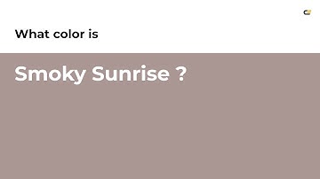 Smoky Sunrise color #aa9793 hex color - Grey color - Cool color aa9793