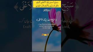 سبح ٱسم ربك ٱلأعلى ٱلذي خلق فسوى وٱلذي قدر فهدى