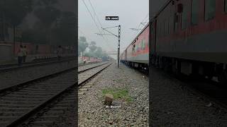 life saved by loco pilot saved big causing accident #shorts #vandebharat #train #viral #trending #ff