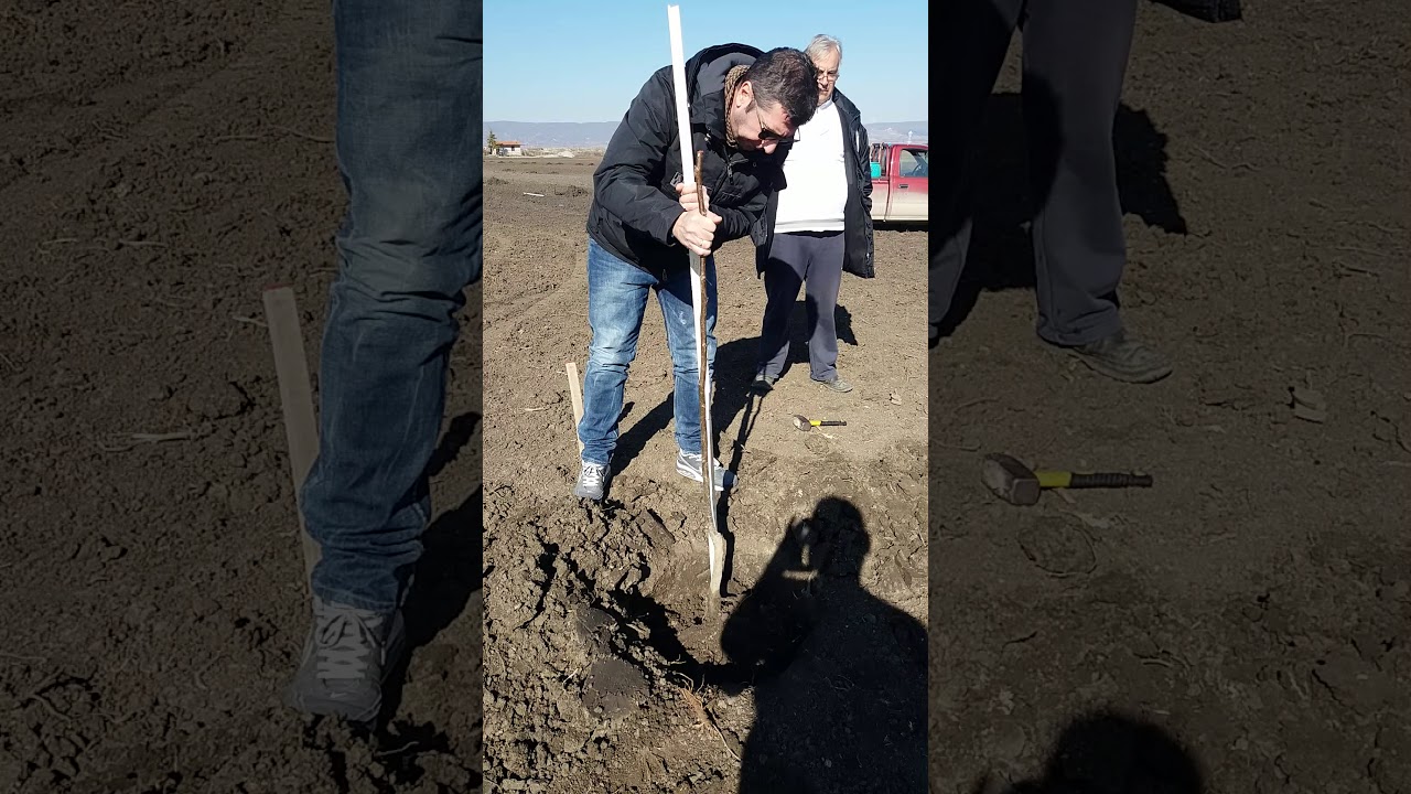 ΦΥΤΕΥΣΗ ΚΑΡΥΔΙΑΣ FERNOR ''ΓΕΩΡΓΙΚΑ ΕΦΟΔΙΑ ΤΣΑΚΙΡΗΣ΄΄