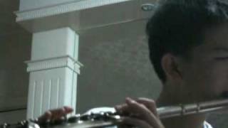 The Swan - Saint Saens with flute
