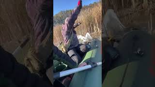 Fishermen Rescue Swan Tangled in Fishing Line