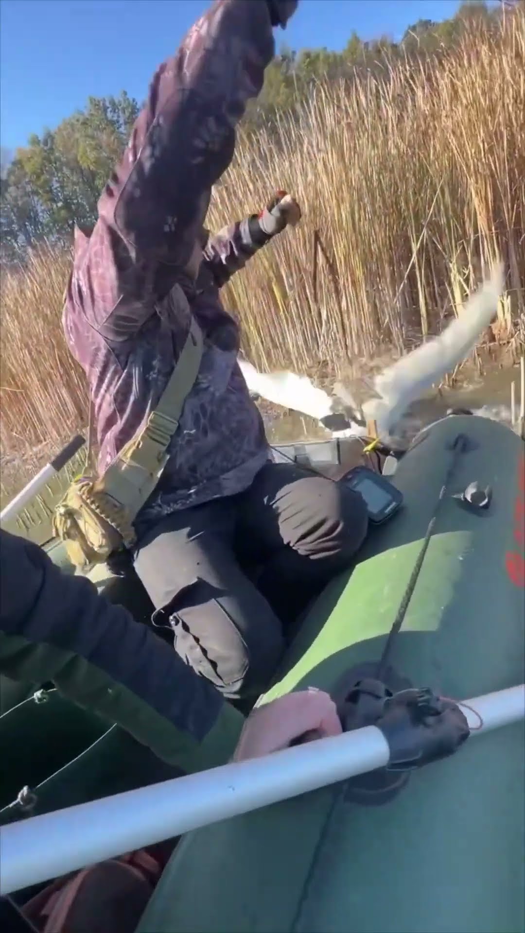 Fishermen Rescue Swan Tangled in Fishing Line