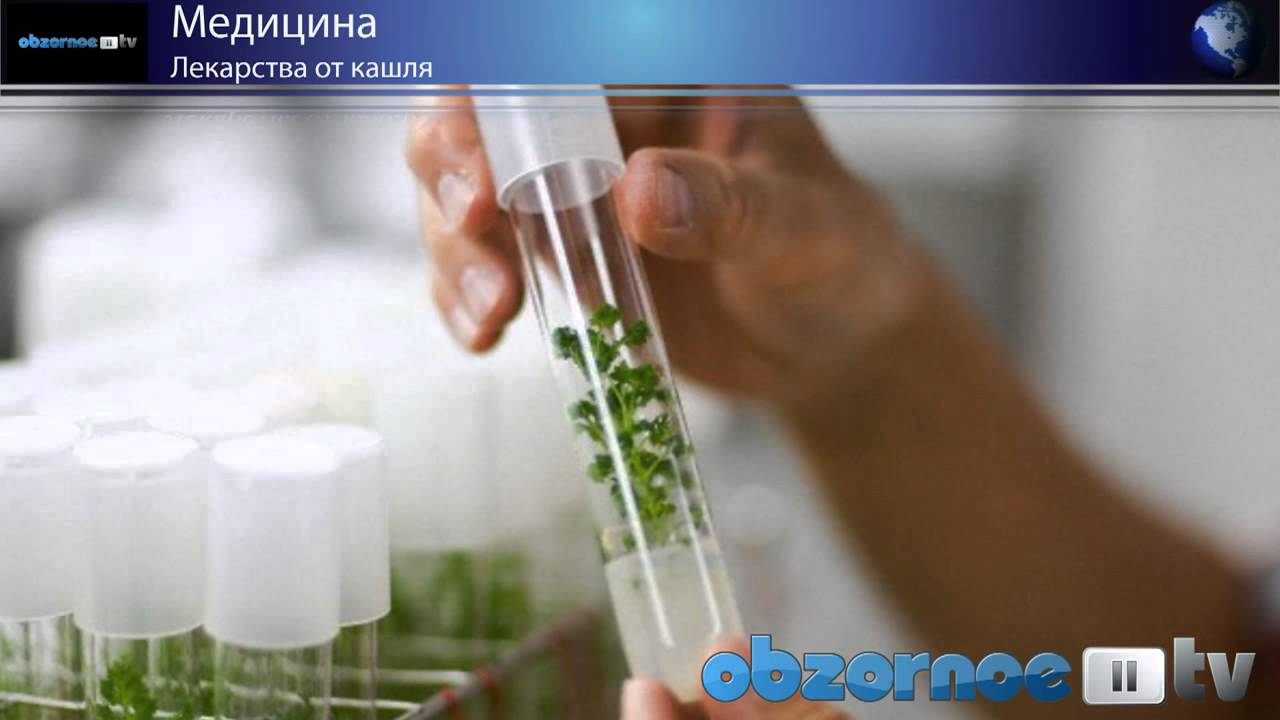 Чем лечить сухой кашель - это важно знать!