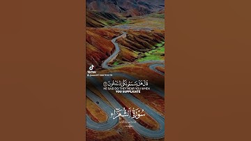سورة الشعراء قرآن كريم راحةنفسية يخشع القلوب #اكسبلور #المصحف #صوت_جميل #duet #الرحمن #حالات_واتس #ا
