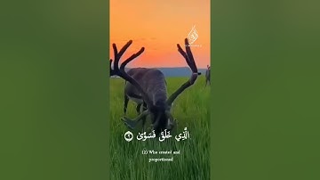 سورة الاعلى بصوت الشيخ فارس عباد ❤️