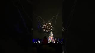 Happily ever after fireworks show Disney World - Magical Disney 2021