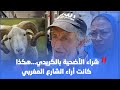 شراء الأضحية بالكريدي هكذا كانت أراء الشارع المغربي