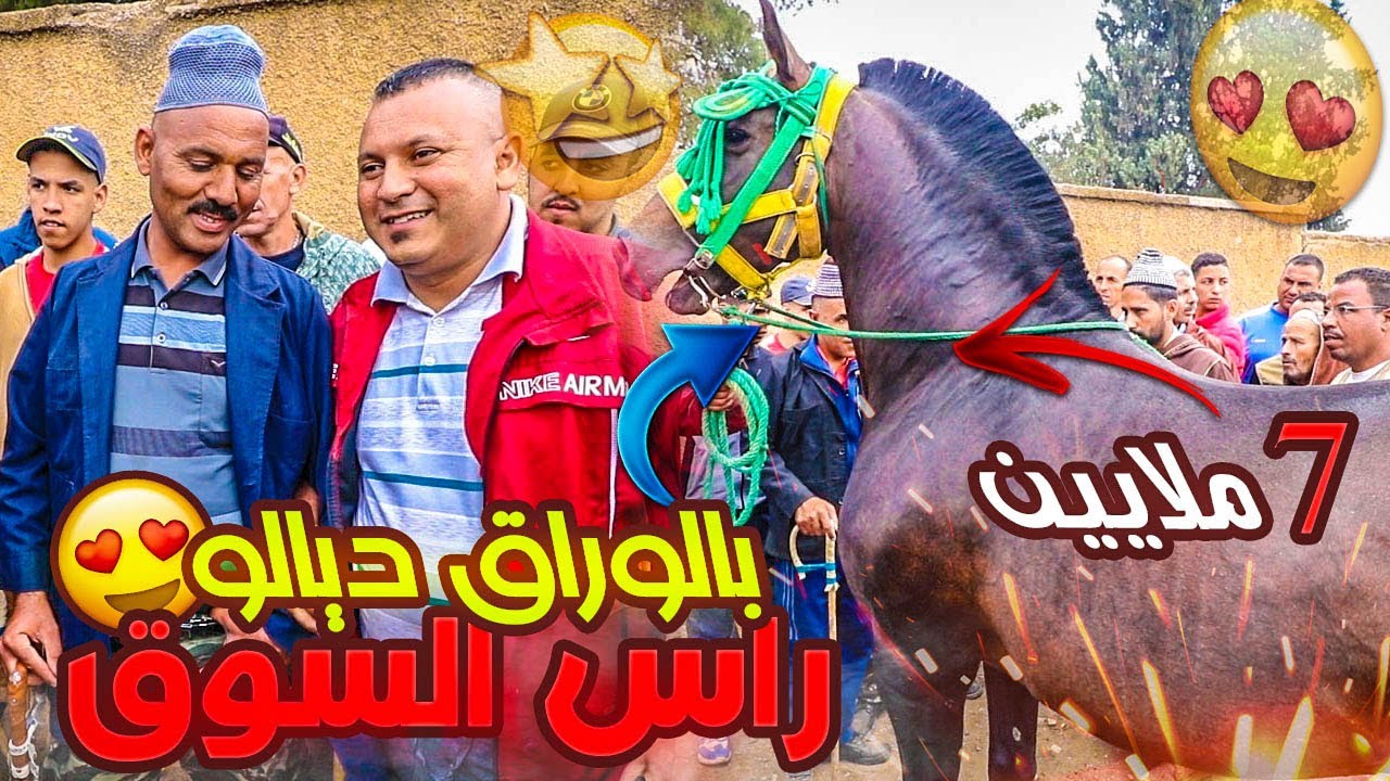 كساب او باردي دخل عود ملكي بالورقة ديالو خلى ناس بلى عقل قطعو ليهوم ب7 ملايين