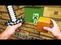 E SE MINECRAFT FOSSE COME LA VITA REALE?!