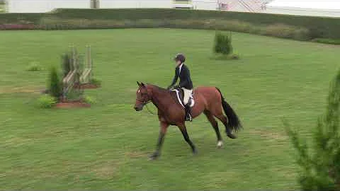 Video of CARTHANO Z ridden by ROSEMARY MULHOLLAND ...