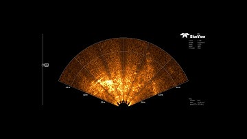 ROV - Remote Operated Vehicle - Sonar, GPS Inspection