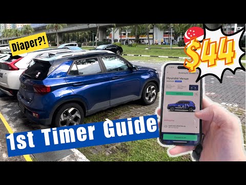 GetGo Car Sharing Experience Review Beginner's Guide 2024 竟发现了了Diaper