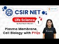 wifistudy CSIR NET | Life Science by Kumkum Ma'am | Plasma Membrane, Cell Biology