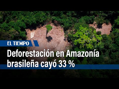 Deforestación en Amazonía
