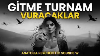 Gitme Turnam - Vuracaklar Türk Halk Müziği - Anatolian Psychedelic Soundsw