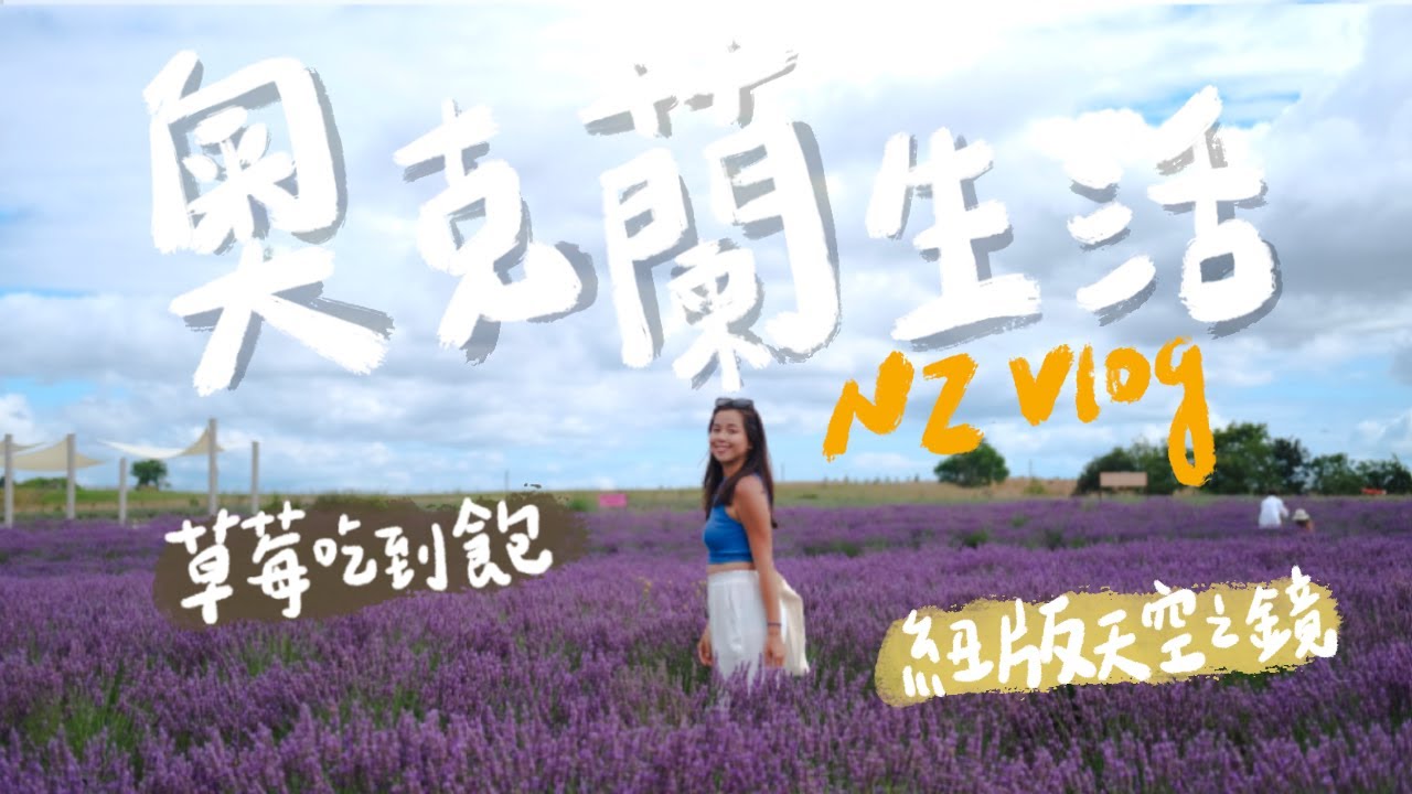 【紐西蘭打工度假】奧克蘭近郊景點！草莓吃到飽？夏天必去薰衣草園和黑色沙灘、打工心得閒聊｜NZ Vlog ep7