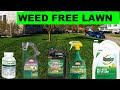 How to Kill all the Weeds in your Lawn in 2020