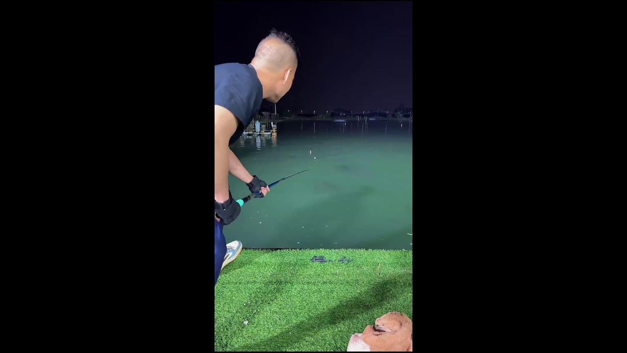 中国旅行直播 China Travel Live Streaming