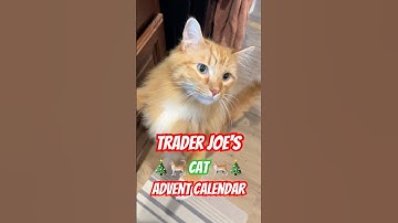 Day 5 of the Trader Joe’s cat advent calendar! #cat #traderjoes #cute