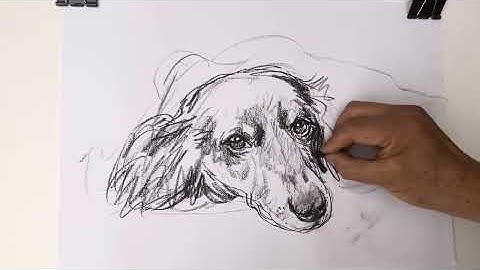  “Playful Spirit in Charcoal | 90s Sketch Journey”