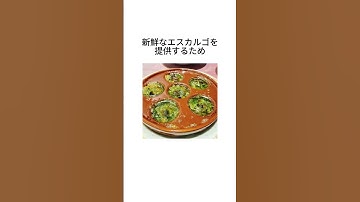 嘘みたいな嘘の雑学【サイゼリヤ編】 #雑学 #サイゼリヤ