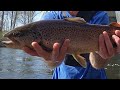 Monster Lehigh River Brown Trout on a 110 JR