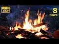 直火の癒し系 焚き火動画８時間 “ Healing bonfire BGM 8 hours ”