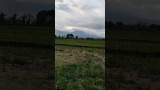 Cuaca Stngah 6 Sore Dkt Rmh