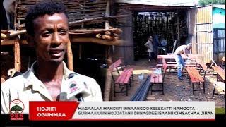 Hojiifi Ogummaa