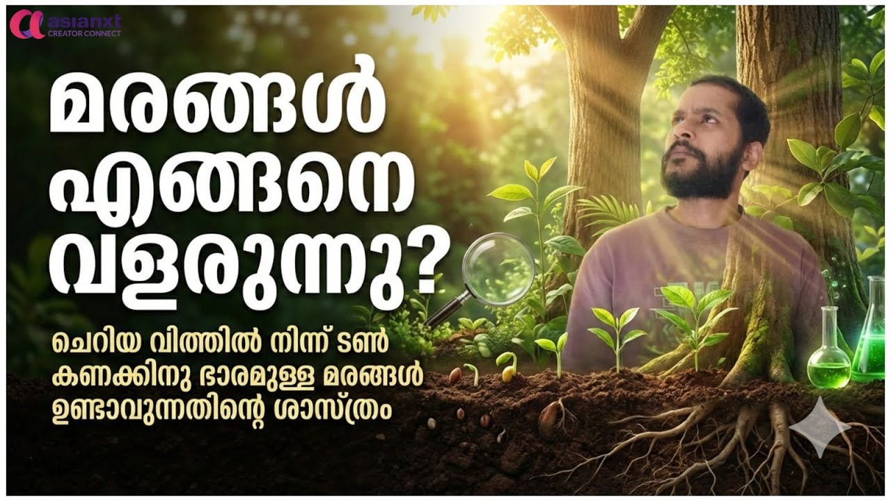 മരങ്ങൾ എങ്ങനെ വളരുന്നു? | The science of trees explained in Malayalam