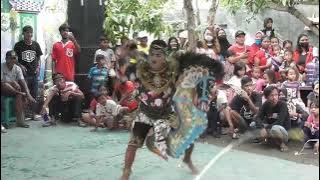 Story WA Info Jaranan Wayang Lawas Turonggo Safitri Putro Mase...