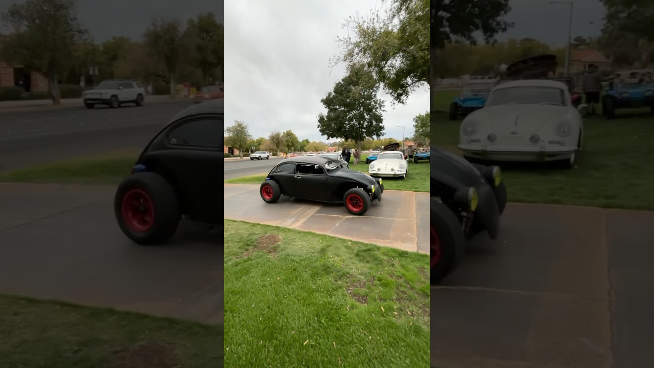 Aircooled Early Arrivals 