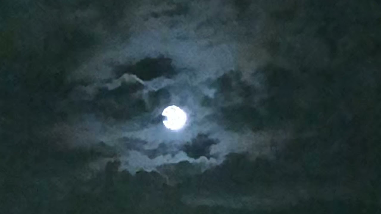 David Crosby - Guinnevere (instrumental cover)