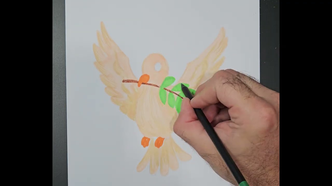 Como desenhar a Pomba da Paz | How to draw the Dove of Peace