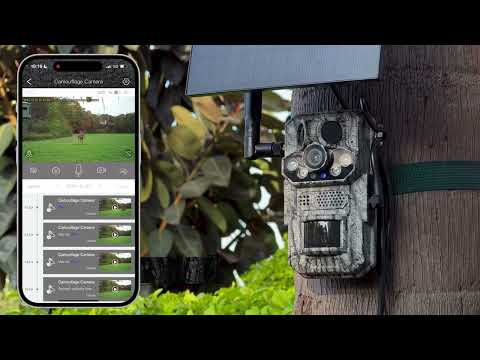 Vaizdo įrašo miniatiūra