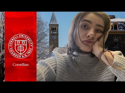 როგორია პირველი მყუდრო კვირა კორნელის უნივერსიტეტში || New York