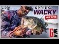 Swindle's Weedless Wacky Rig and Colors for Spring Bass