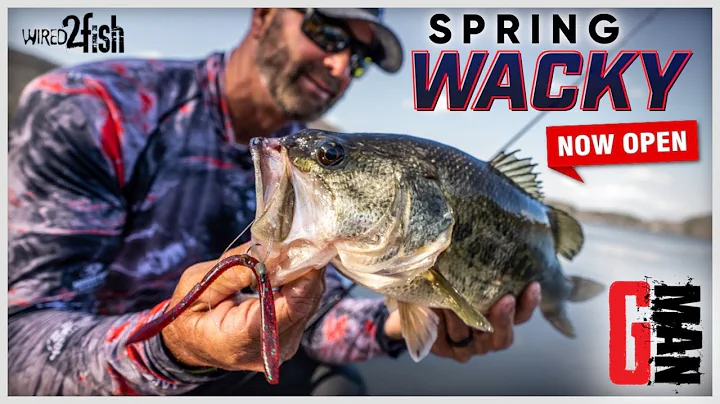 Swindle's Weedless Wacky Rig and Colors for Spring...