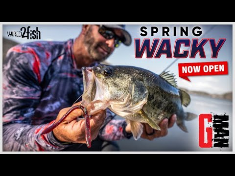 Swindle's Weedless Wacky Rig and Colors for Spring Bass 