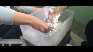 Bioplastic From Waste Newspaper