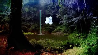 StereoKIZZ - Back to the Jungle