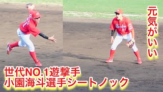 元気がいい!小園海斗選手の試合前シートノック