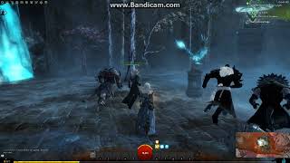 Guild Wars 2 - Guardian - The invitation - Bjora Marches