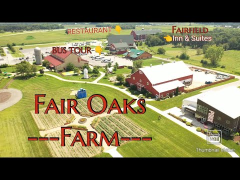 Fair Oaks Farm tour 2021 / meralynparis vlogs