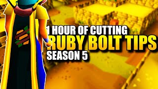 Cutting Ruby Bolt Tips | Testing OSRS Wiki Money Making Methods | Money Making Guide 2021