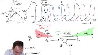 Inotropic Effect, Batmotropic Effect, Dromotropic Effect. (Part 34)
