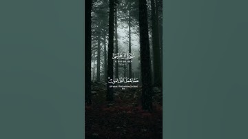 عبدالباسط عبدالصمد 🤍🤍🤍#تلاوة_خاشعة #قرآن #راحة_نفسية #quran #عبدالباسط_عبدالصمد #المصحف #تلاوة_خاشعة